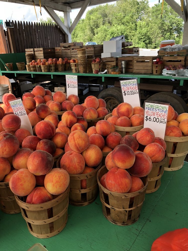 Stoudt's Fruit Stand Logo