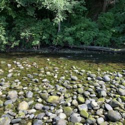 Sooke River Trail