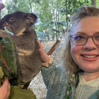 Lone Pine Koala Sanctuary - My friend, Pretzel. - Zoos Near Me - Fig Tree Pocket, QLD
