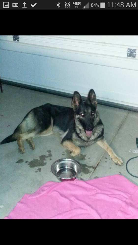 PERRIS POLICE DEPARTMENT 11 Reviews 137 N Perris Blvd, Perris, CA