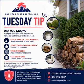 One Peak Pest Control - Tuesday Pest Control Tip - Pest Control Near Me - Anderson, South Carolina One Peak Pest Control - Tuesday Pest Control Tip - Pest Control Near Me - Anderson, South Carolina