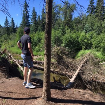 Whitemud Park - Good access to the river - Parks Near Me - Edmonton, Alberta