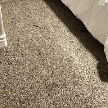 Coconut Cleaning - Right after they left. Notice the spill mark and black streaks toward the top of the picture. - Carpet Cleaning Near Me Coconut Cleaning - Right after they left. Notice the spill mark and black streaks toward the top of the picture. - Carpet Cleaning Near Me
