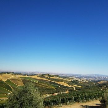 DAOU Vineyards - Valley of vineyards - Wineries Near Me - Paso Robles, California