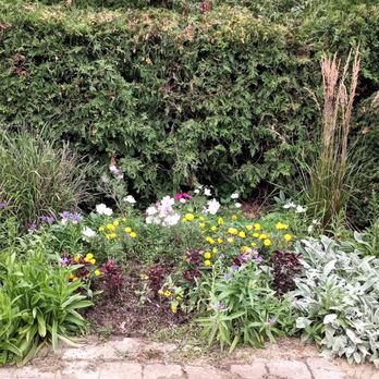 Alexander Muir Memorial Gardens - flowers along a path - Parks Near Me - Toronto, Ontario Alexander Muir Memorial Gardens - flowers along a path - Parks Near Me - Toronto, Ontario