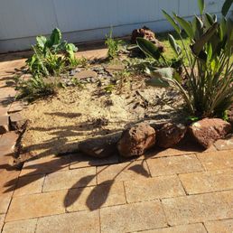 After the tree had been chopped down and the stump ground down. After the tree had been chopped down and the stump ground down.