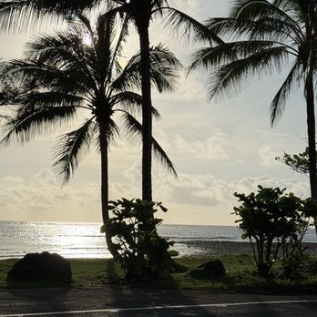 Coffee Cove Hawaii - Cafes Near Me - Hauula, Hawaii Coffee Cove Hawaii - Cafes Near Me - Hauula, Hawaii