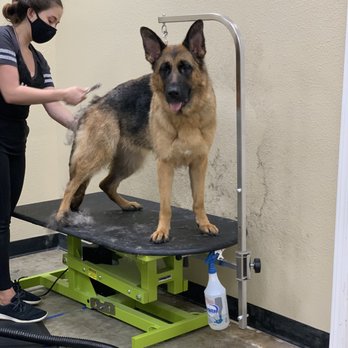 Mud Room - Pet Groomers Near Me Mud Room - Pet Groomers Near Me