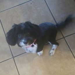 My happy Milo! My happy Milo!