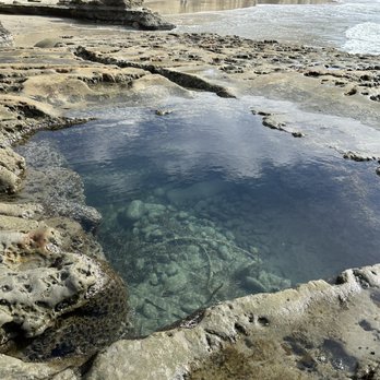 Torrey Pines State Reserve - Tidepool - Parks Near Me - La Jolla, California Torrey Pines State Reserve - Tidepool - Parks Near Me - La Jolla, California
