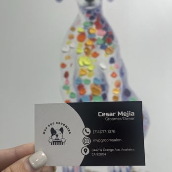 MVP Dog Grooming & Boarding  - Info - Pet Groomers Near Me - Anaheim, California