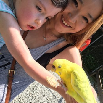 Nova Wild - Birds! - Petting Zoos Near Me - Vienna, Virginia