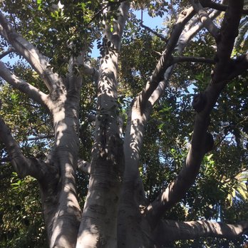 Rancho Los Alamitos - Landmarks & Historical Buildings Near Me - Long Beach, California