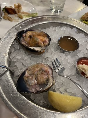 B&G Oysters by null