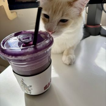 Made Coffee - Ube matcha with cloud - Coffee & Tea Near Me - Costa Mesa, California Made Coffee - Ube matcha with cloud - Coffee & Tea Near Me - Costa Mesa, California