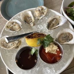 Oysters