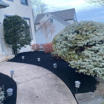 Eab landscape - a front yard of a house - Lawn Services Near Me - Wilmington , Delaware Eab landscape - a front yard of a house - Lawn Services Near Me - Wilmington , Delaware