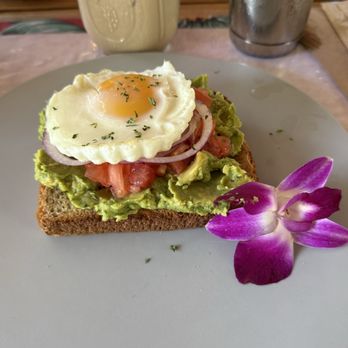 Bulegreen Cafe Yard - Avocado Toast - Cafes Near Me - Oakland Park, Florida Bulegreen Cafe Yard - Avocado Toast - Cafes Near Me - Oakland Park, Florida