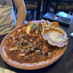 Chihuahua's