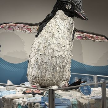 Oregon Coast Aquarium - Penguin made of plastic items found - Aquariums Near Me - Newport, Oregon Oregon Coast Aquarium - Penguin made of plastic items found - Aquariums Near Me - Newport, Oregon