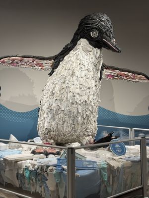 Oregon Coast Aquarium by null