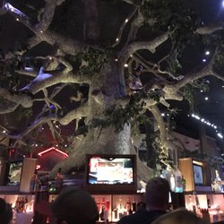 Tree Bar - Tree Bar