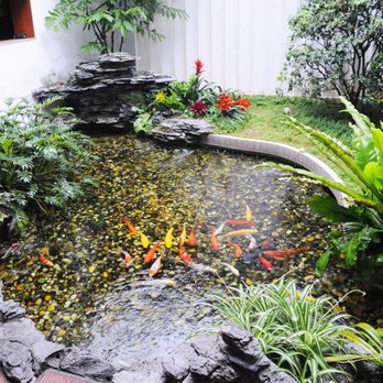 Montecito Koi Ponds - Beautiful small koi pond in Santa Barbara. - Pool Cleaners Near Me Montecito Koi Ponds - Beautiful small koi pond in Santa Barbara. - Pool Cleaners Near Me