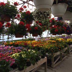The Best 10 Nurseries Gardening Near Colebrook Nh 03576 Gardening Near Colebrook Nh 03576