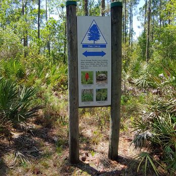 Tibet-Butler Preserve - Parks Near Me - Orlando, Florida Tibet-Butler Preserve - Parks Near Me - Orlando, Florida