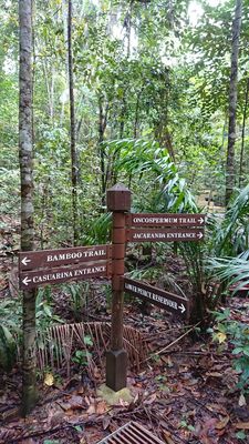 Lower Peirce Reservoir Park by null