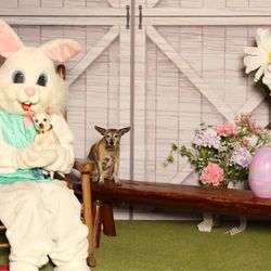 Bass Pro Shops - Grapevine - 2024 Easter Photos