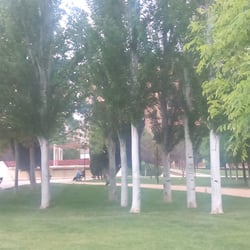 Parque Sedetania - Mucho verde