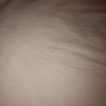 TownPlace Suites Marriott - LaPlace - Bedbugs - Hotels Near Me - Laplace, Louisiana
