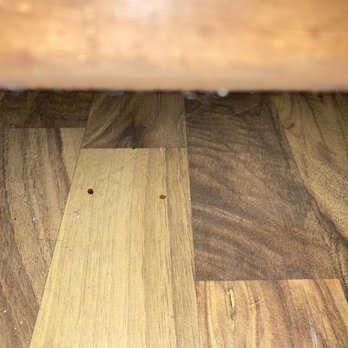 El Rancho Motel - Dead bugs under wooden bed box spring. - Hotels Near Me - Coeur D Alene, Idaho El Rancho Motel - Dead bugs under wooden bed box spring. - Hotels Near Me - Coeur D Alene, Idaho