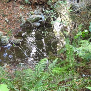 Matt Davis Trail - Parks Near Me - Stinson Beach, California Matt Davis Trail - Parks Near Me - Stinson Beach, California