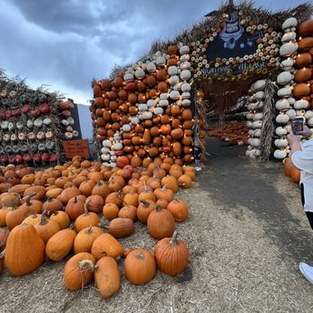 Kuwahara's Pumpkin Patch & Thriller Park - Attraction Farms Near Me - Draper, Utah