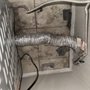 Photo of Duct Busters