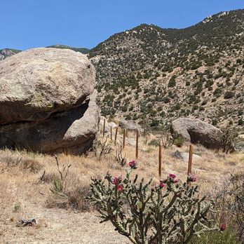 Embudito Trailhead - The image depicts a desert landscape with a prominent large boulder on the left, smaller rocks in the background, and a mountain range covered with sparse vegetation. In the foreground, there is a cactus with pink flowers, surrounded by dry grass and small shrubs. A wooden fence runs through the scene, and the sky is clear and blue, indicating a sunny day. - Hiking Near Me - Albuquerque, New Mexico