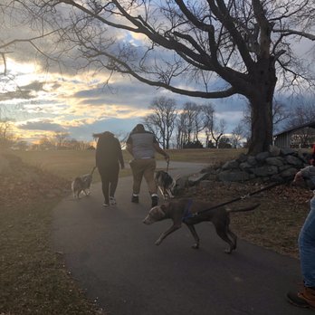 The Peaceful Pack - Adventures!! - Pet Boarding Near Me The Peaceful Pack - Adventures!! - Pet Boarding Near Me