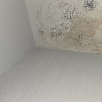 Ranieri's Way Handyman Services - Mold in the closet. - Handyman Near Me - Oakland Park, Florida