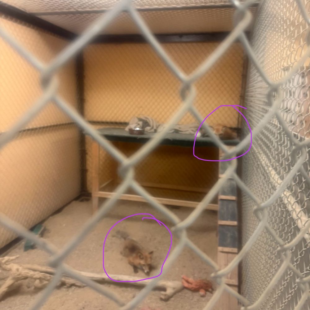 TOP 10 BEST Cave Tour near Cheviot Hills, Los Angeles, CA - Updated 2026 -  Yelp