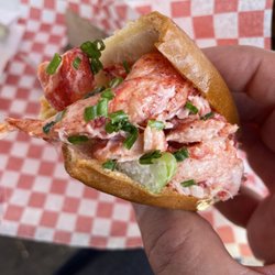 Dave's Lobster