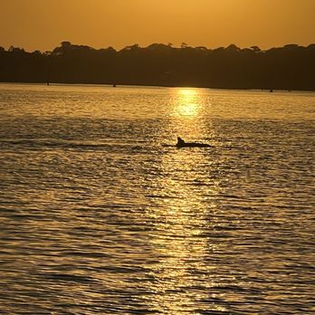 Cruisin Tikis - Sunset and dolphins - Boat Tours Near Me - Destin, Florida Cruisin Tikis - Sunset and dolphins - Boat Tours Near Me - Destin, Florida