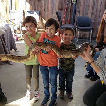 Raptor Events - Party & Event Planning Near Me