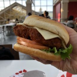 Spicy Deluxe Sandwich