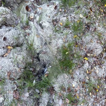 BVD Septic - Leaking sewage. - Septic Services Near Me - Jacksonville, Florida BVD Septic - Leaking sewage. - Septic Services Near Me - Jacksonville, Florida