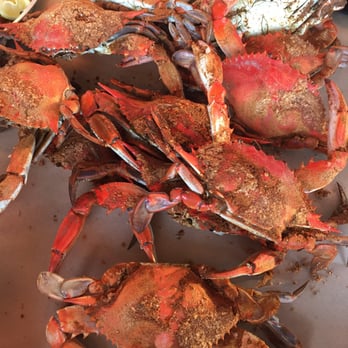 Captain James Crab House - Medium Dozen Crabs - Seafood Near Me - Baltimore, Maryland