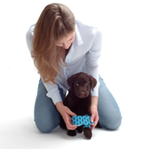 A.i.D. Ready Training - safety consultant in Washington, DC, DC