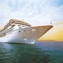 Photo of Terry Rife Travel