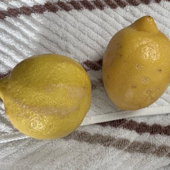 Sprouts Farmers Market - Lemons on their way out, at almost 80 cents each. - Organic Stores Near Me - Augusta, Georgia Sprouts Farmers Market - Lemons on their way out, at almost 80 cents each. - Organic Stores Near Me - Augusta, Georgia